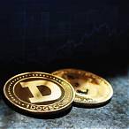 bet with dogecoin